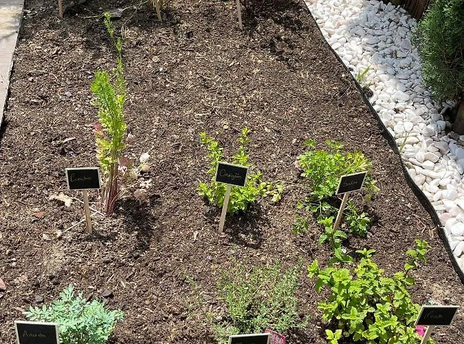 Casa Dona Adelaide Διαμέρισμα *