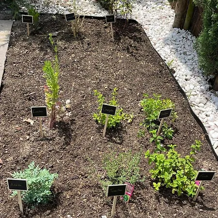 Casa Dona Adelaide Apartament *